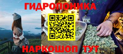 Альфа ПВП Аргун