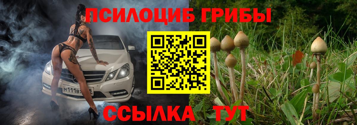 Псилоцибиновые грибы мухоморы  купить наркотик  Архангельск  Вход с VPN  Псилоцибиновые грибы Cubensis 