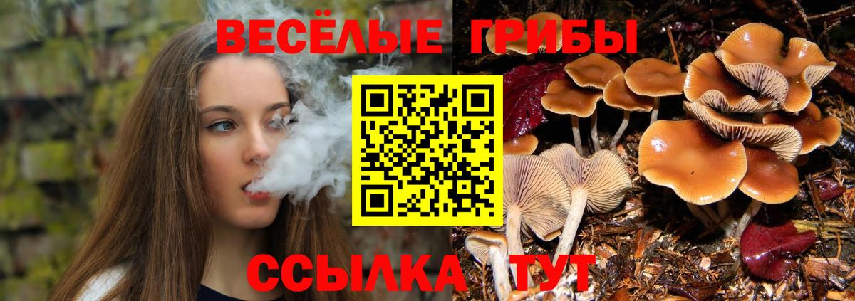 ТГК Архангельск